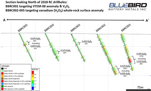 Canegrass Property – VTEM-08 Drill Section Looking North